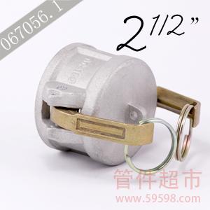 DC250铝 卡木快速接头  2.1/2 