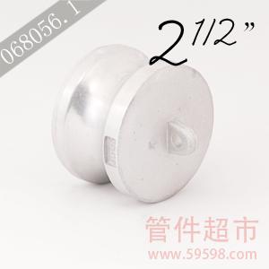 DP 250 铝 卡木快速接头  2-1/2 