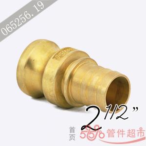 ENC-250 黄铜 卡木带齿管尾接头 2-1/2 