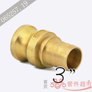 ENC-300 黄铜 卡木带齿管尾接头 3 
