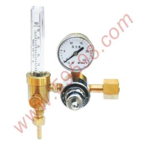 RW195流量计减压器